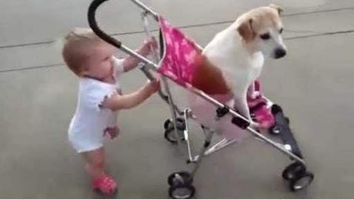 Funny Videos screenshot 1