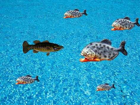 Fishing Piranha Hook screenshot 1