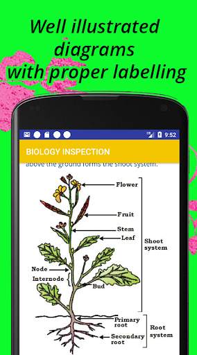 Biology NEET Inspection screenshot 3