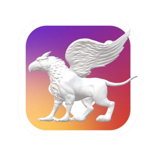 Insta Video Downloader 1.1