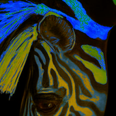Zebra Leg LWP icon