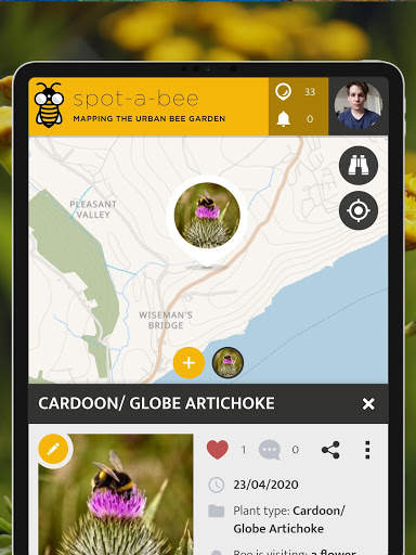 Spot-a-Bee  | SPOTTERON screenshot 15