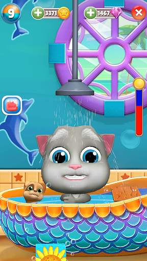 My Talking Bob Cat screenshot 3
