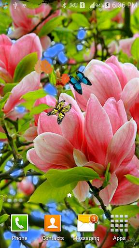 3D Butterfly Live Wallpaper screenshot 7