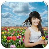 Tulip Photo Frame 2018 1.0