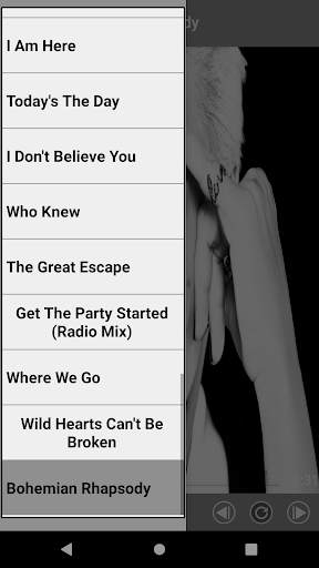 P!nk Best Music(Offline) & Ringstones screenshot 3