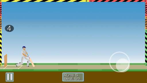 Cricket Mayhem: 2D Cricket screenshot 6