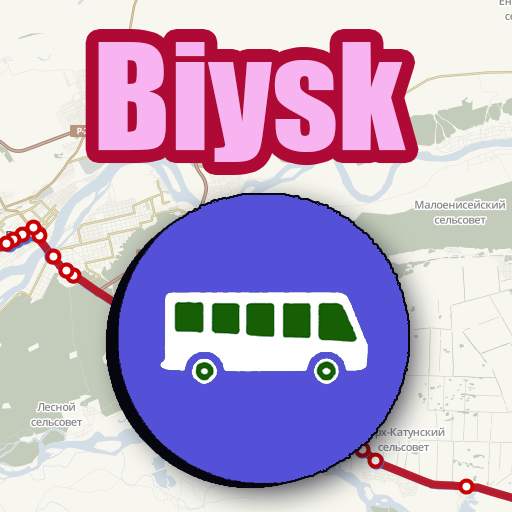 Biysk Bus Map Offline screenshot 2