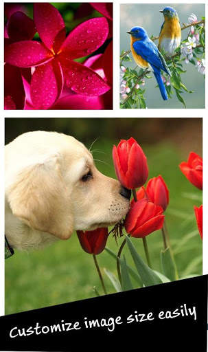 Love Collage Maker скриншот 2