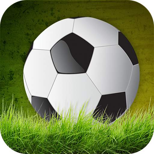 Soccer Championship 3D 1.5