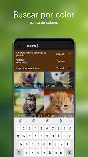 Fondos de pantalla con gatos screenshot 3