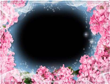 Lovely Flowers Photo Frames screenshot 5