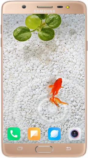 Betta Fish Wallpaper screenshot 4