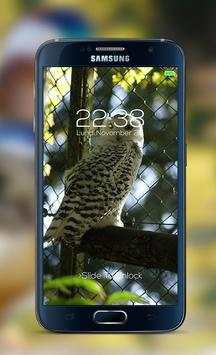 Bird password Lock Screen screenshot 1