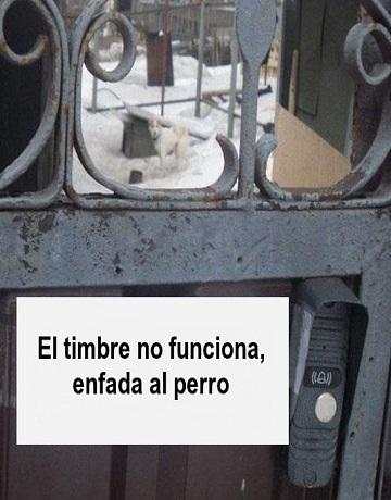 Memes para Whatsapp screenshot 1