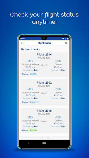 Interjet screenshot 3