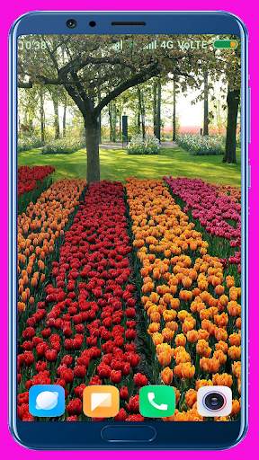 Tulips Flower Wallpaper Best 4K screenshot 5
