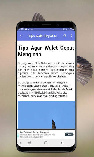 Suara Walet Panggil dan Inap screenshot 7