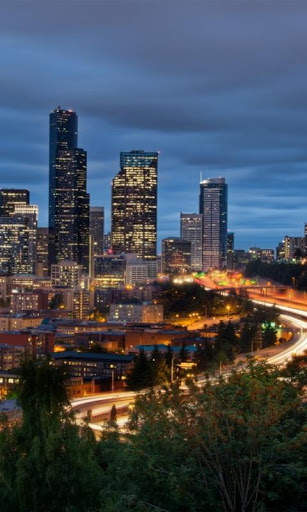 City Night Live Wallpaper screenshot 6