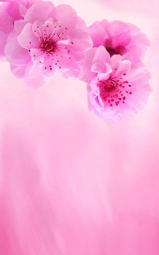 Pink Flowers Live Wallpaper screenshot 5