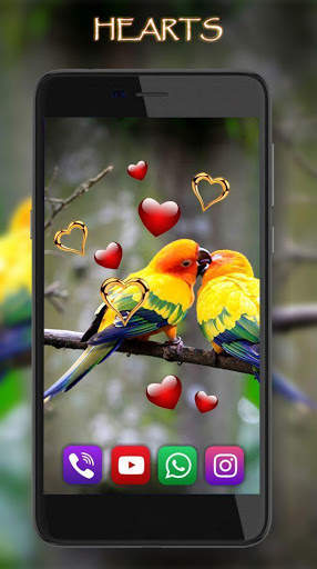 Love Birds Live Wallpaper screenshot 3