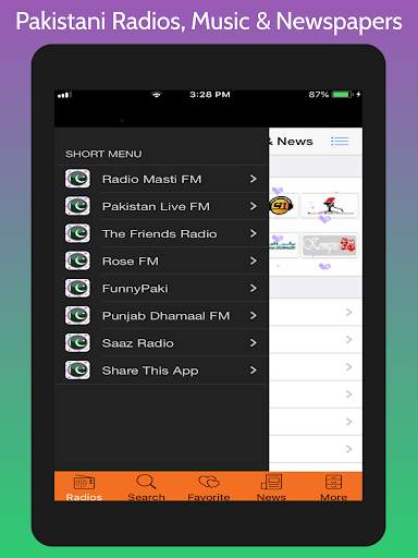 Pakistani Radios, Free Music & Pakistani Newspaper screenshot 14