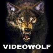 videowolf - watch video earn money 2.0
