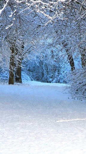 Winter Wallpapers : backgrounds hd screenshot 4