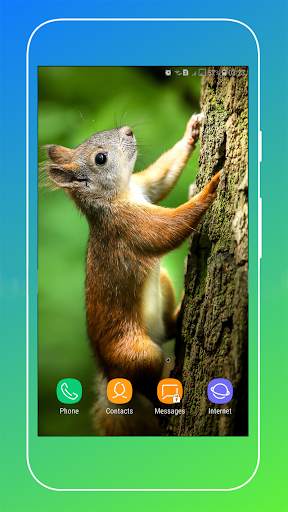 Squirrel Wallpaper screenshot 15