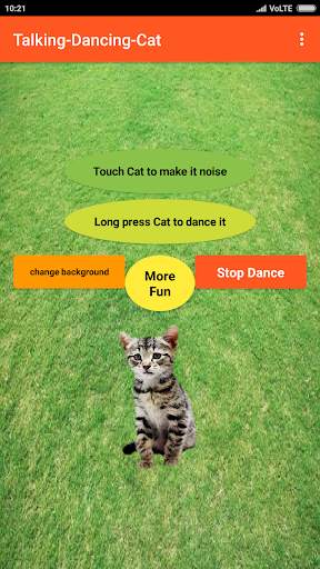 Talking Cat-Animal-Dance app screenshot 8