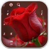 لوحة المفاتيح الأحمر روز on 9Apps