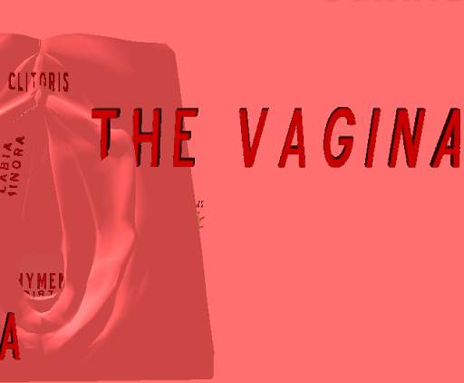 Vagina 3D screenshot 4