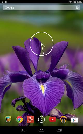 Photo 3D Live Wallpaper FREE screenshot 5