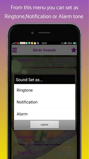 Birds Sounds and Ringtone screenshot 3