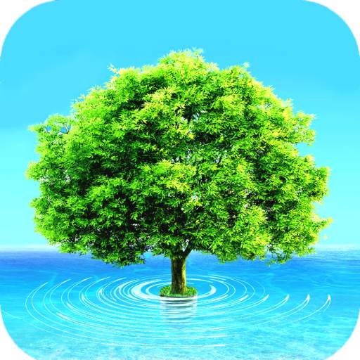 Awesome HD Wallpaper 1.21
