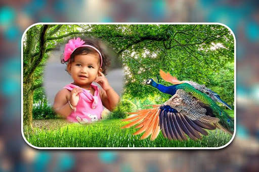 Peacock Photo Frames screenshot 4