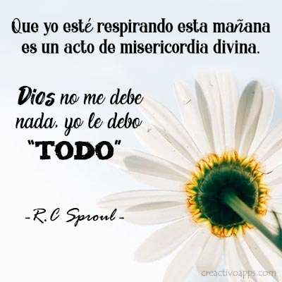 Frases sabias - Frases de vida 11 تصوير الشاشة