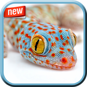 Amazing Wildlife Photo Frame icon