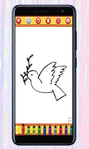 Birds Coloring & Drawing Book- screenshot 1