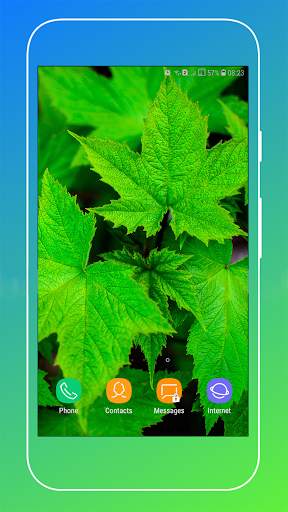 Leaf Wallpaper HD screenshot 7