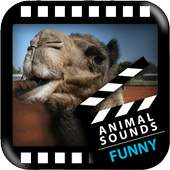 Best Funny Animals Sounds 1.0