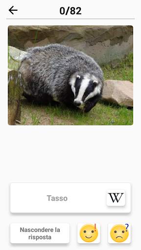 Mammiferi -Scopri tutti gli animali in Photo-Quiz! screenshot 5