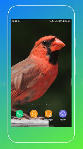 Bird Wallpaper screenshot 10