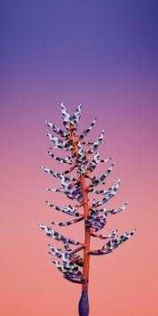 Wallpapers for iPhone | HD Os13 Wallpapers screenshot 6