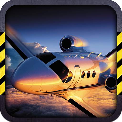 Airplane Flight Mania 3D 1.4
