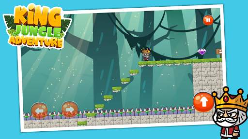 King Jungle Adventure скриншот 6