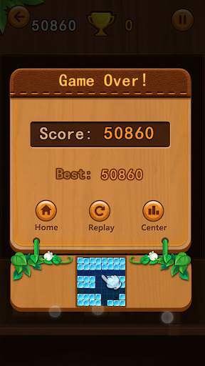 new Wood Block Puzzle screenshot 4