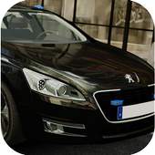 Car Driving Simulator Peugeot 1.0