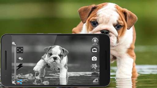 Black and White Camera screenshot 2
