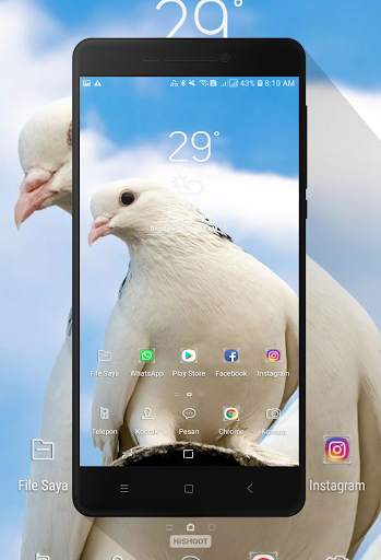 Dove Wallpaper screenshot 2